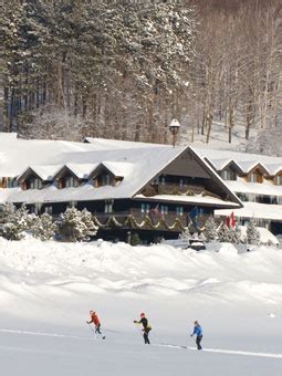 sotwe.c9m|von trapp webcam.